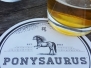 Ponysaurus 11.07.2018